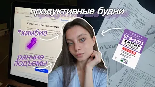 мои ПРОДУКТИВНЫЕ будни 🤌🏼 | подготовка к егэ | STUDY VLOG