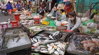 Cambodia Street Market in Evening - Various Vegetable, River Fish, Fruit, Pork & Beef on The Street