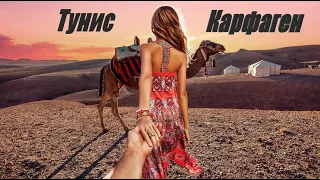 Тунис Карфаген погода  , ноябрь экскурсии 2019 , все включено , пегас туристик , горящий тур , 6+