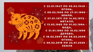 🐉Гороскоп на 2024 год для рожденных в год КАБАНА/СВИНЬИ, 1959, 1971, 1983, 1995, 2007 г