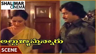 Allulu Vasthunaru || Chiranjeevi & Geetha Love Scene || Chiranjeevi, Geetha || అల్లుల్లోస్తున్నారు