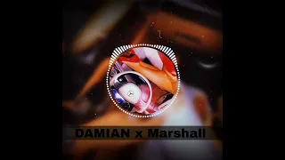 ❌Damian x Marshall - Už dost (REMIX 2022)❌