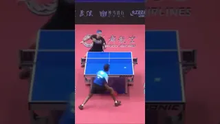 Timo Boll Did Not Expect This Insane Shot