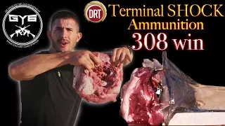 DRT 308 win TERMINAL SHOCK Ammo vs. Pork Shoulder & BRICK