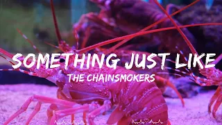 The Chainsmokers & Coldplay - Something Just Like This  || Soren Music
