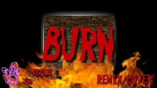 Burn (FIVE NIGHT'S AT FREDDY'S REMIX!) Lyric Video - S.I.N Rabbit (ft. @Astildi)