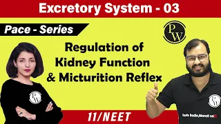 Excretory System 03 | Regulation Of Kidney Function | Micturition Reflex | Class 11 | NEET |