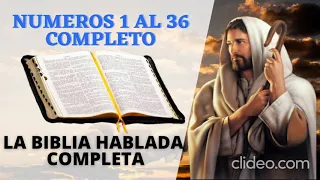 NUMEROS COMPLETO LA BIBLIA HABLADA COMPLETA EN ESPAÑOL   EL EVANGELIO DE HOY