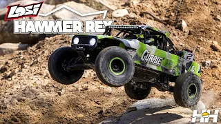 Losi Hammer Rey - Bred for off-road excellence