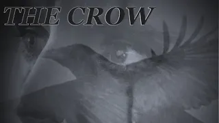 THE CROW FAN FILM TRAILER -2019