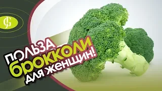 Польза брокколи для женщин. Капуста брокколи - полезные свойства и вред! JadeGift™