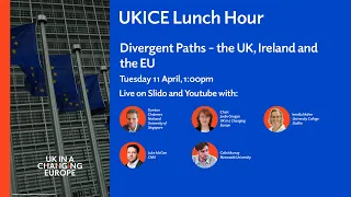 UKICE Lunch Hour: Divergent Paths - the UK, Ireland and the EU