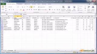 14. Microsoft Excel 2007/2010 - sortowanie i filtrowanie danych, formatowanie warunkowe..avi