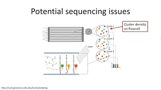 Illumina sequencing