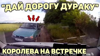 Автоподборка "Дай Дорогу Дураку"🛑Королева на Встречке #261