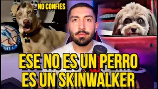 ESE NO ES TU PERRO... ES UN SKINWALKER