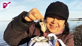 EP 5: Eating and gathering fresh oysters at the shore (Part 2) l Yainang - Denmark