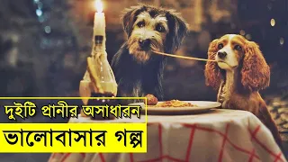 Lady and the Tramp Movie explanation In Bangla Movie review In Bangla | Random Video Channel