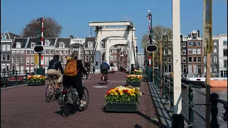 THE SKINNY BRIDGE: Amsterdam's Most Famous Bridge! 4K)