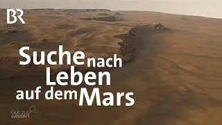 Mars-Mission: Spuren von Leben in Steinen finden | Gut zu wissen | BR