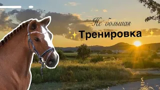 Не большая тренировка🍃|Лошади шляйх