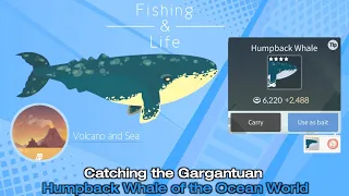 Fishing and Life | Catching Humpback Whale