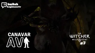 CANAVAR AVI - WITCHER 3 WILD HUNT BÖLÜM 7