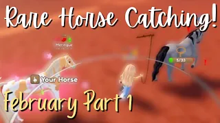 Horse Catching Haul - February 2023 - Part 1 | Wild Horse Islands