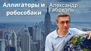 Интеллигентные кашалоты, голосование в Дартмуте, вооружённые робособаки и многое другое! Выпуск 23