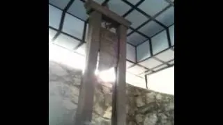 Vietnam Last Guillotine.MOV