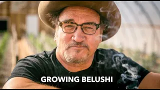GROWING CANNABIS BELUSHI | JIM BELUSHI