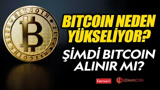 Bitcoin neden yükseliyor? Daha da yükselir mi? Şimdi Bitcoin alınır mı?