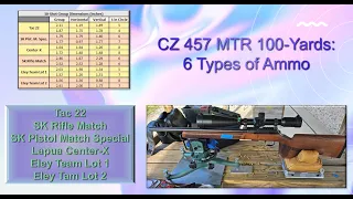 CZ 457 MTR at 100 Yards in Wind &  Heat - Center-X, Rifle Match, Team, Pistol Match Special & Tac 22