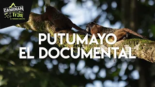 LO MÁS BELLO DE PUTUMAYO, EL DOCUMENTAL || CaminanTr3s, El tercero eres tú!!