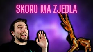 Chcela ma zožrať! (Kŕmenie čajíkov)