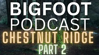 BIGFOOT RESEARCH AND ENCOUNTERS | CHESTNUT RIDGE PA (PART 2)