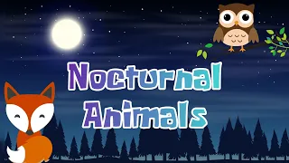 Nocturnal Animals | Animal Names and Pictures | Night Animals | Binatang Malam