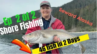 Surf Fishing 46 fish in 2days Seward Alaska Ep 2 Helping Others