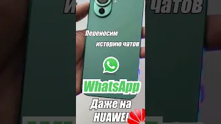 Инструкция. Как перенести историю #WhatsApp на новый смартфон? Даже если он - HUAWEI