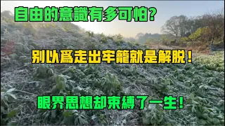 自由的意識有多可怕？別以為走出牢籠就是解脫！眼界思想注定束縛了一生！