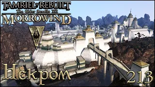 Morrowind Tamriel Rebuilt - Некром, #151 (213)