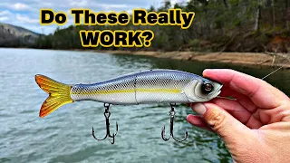 Amateur Tries GLIDE BAIT Fishing...