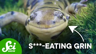 Why These Animals Eat Sh*t