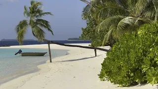 Sun Siyam Vilu Reef, Maldives October 2023