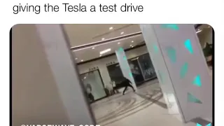 Tesla meme