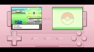 Egg Delivery In SoulSilver