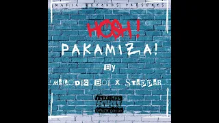Stepper Ft Melodic Boi - Hosh Pakamiza
