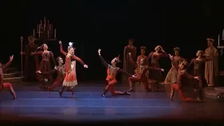 Swan Lake - Hungarian dance