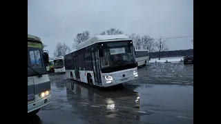 Автобус Lotos-105 по 565 маршруту! Кировск - метро Дыбенко