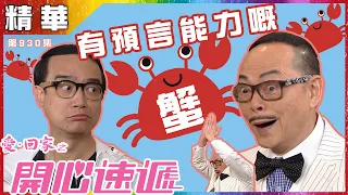 【愛．回家之開心速遞精華短片】第930集精華 有預言能力的蟹